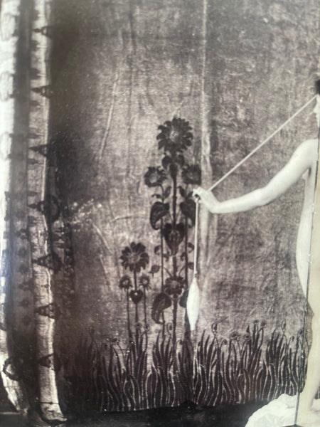 Rare Art Nouveau Stencilled Silk and Mohair Velvet Curtain with Sunflowers : C1890s France