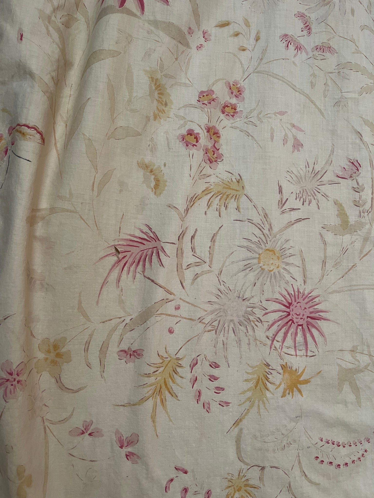 Antique Block Print Chinoiserie Panel Birds Flowers: C1930 France