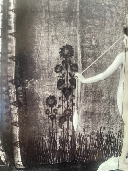 Rare Art Nouveau Stencilled Silk and Mohair Velvet Curtain with Sunflowers : C1890s France