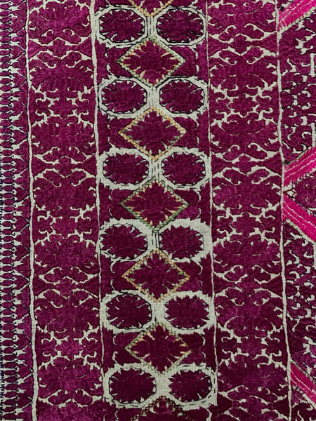 Antique Silk Embroidered Panel Border: C20th NW Pakistan